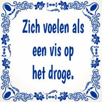 Zich voelen als een vis op het droge. tegeltje met oude spreuk Zich voelen als een vis op het droge. tegeltje met oude spreuk