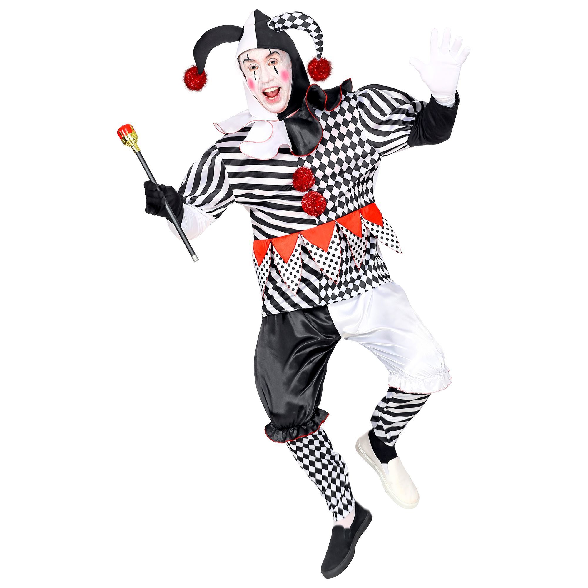 Harlekijn carnaval kostuum man clown