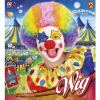 foto 3 Multicolor clownspruik ga in feestelijke Stijl en kleur naar elk feestje