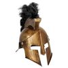Ridder helm gladiator volwassen