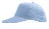 foto 3 Pet sky blue lichtblauw 