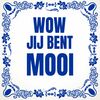 Tegeltje wow jij bent mooi