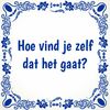 foto 1 Tegeltje hoe vind je zelf dat het gaat? grappig tegeltje standaard manager taal