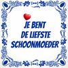 tegeltje je bent de liefste schoonmoeder