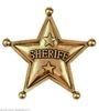 authentieke sheriff ster