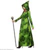 foto 4 Boze Bos Heksen kostuum groen Moeder Aarde