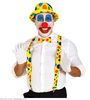 clowns set bretel, vlinderstrik, neus