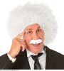 foto 3 Einstein pruik en snor professor nerd
