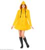 foto 3 gele regenjas Greta kostuum verkleden Carnaval.