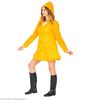 foto 5 gele regenjas Greta kostuum verkleden Carnaval.
