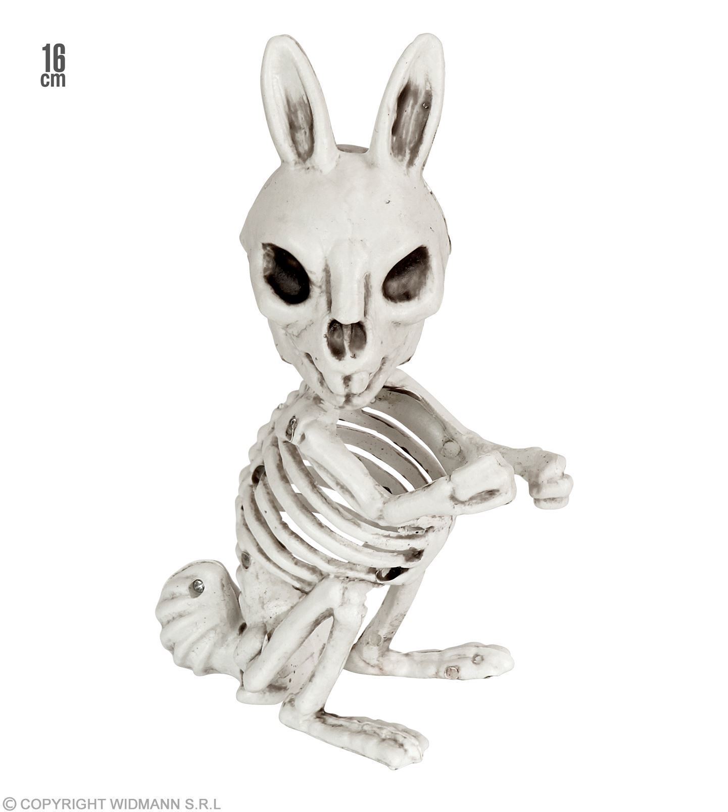 konijn skelet 16cm