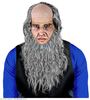 foto 2 Pruik hoofdbedekking Amish met baard en bril grijs