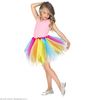 foto 2 Regenboog kleuren fonkelende tutu voor kinderen