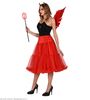foto 4 Rode tulle rok met petticoat dames