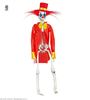 skelet horror clown 40cm decoratie