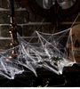 foto 4 spinnenweb met spinnen maak van je huis een spookhuis Halloween