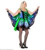 foto 3 Vlinder Kostuum Vrouw blauw met groen dames