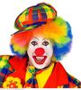 foto 2 Clownspet voor volwassen met vrolijke kleuren