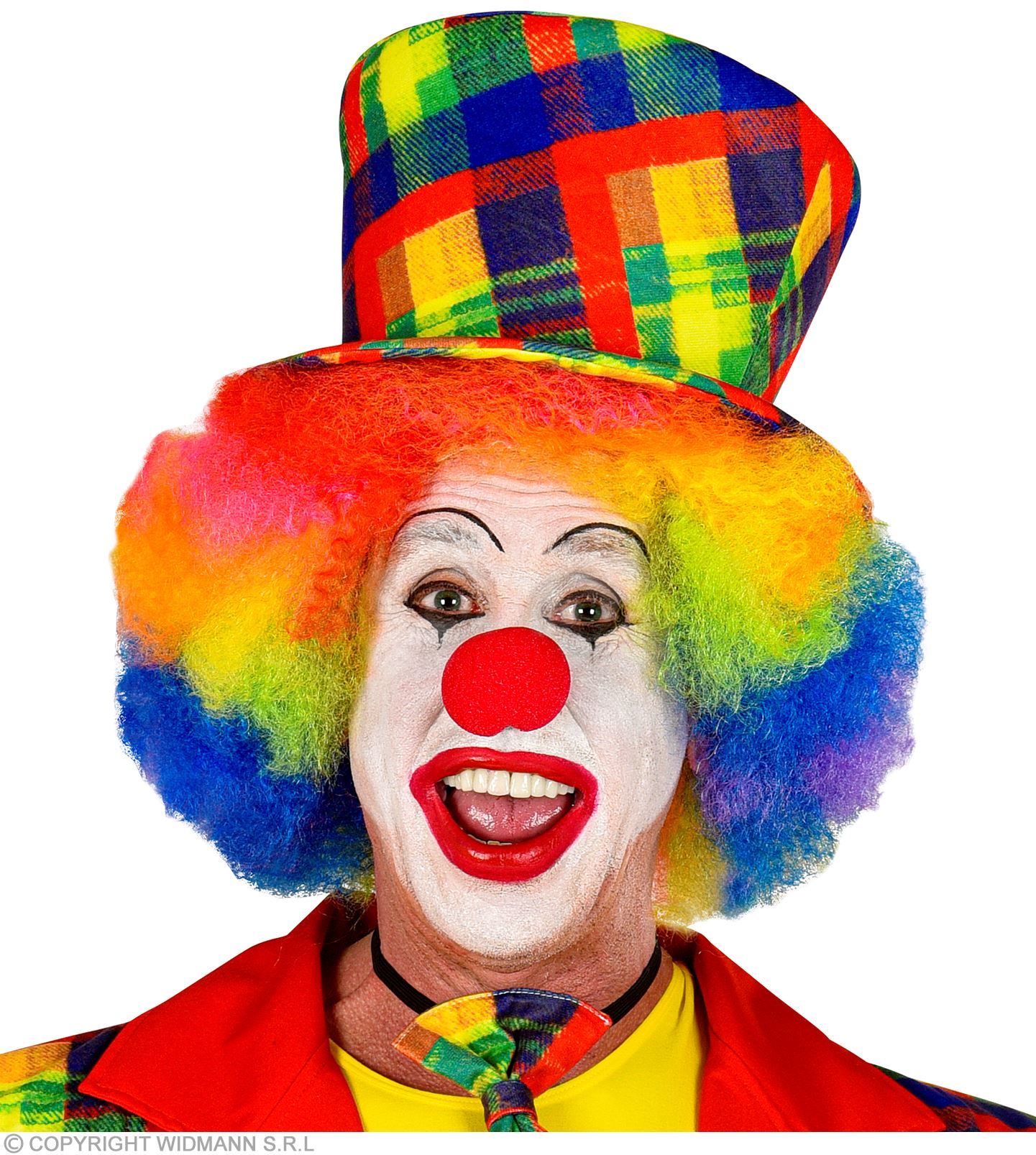 Hogehoed clown met vrolijke kleuren volwassen