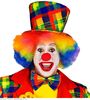 foto 2 Hogehoed clown met vrolijke kleuren volwassen