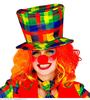 foto 3 Hogehoed clown met vrolijke kleuren volwassen