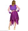 foto 2 Paarse rok van chiffon carnaval