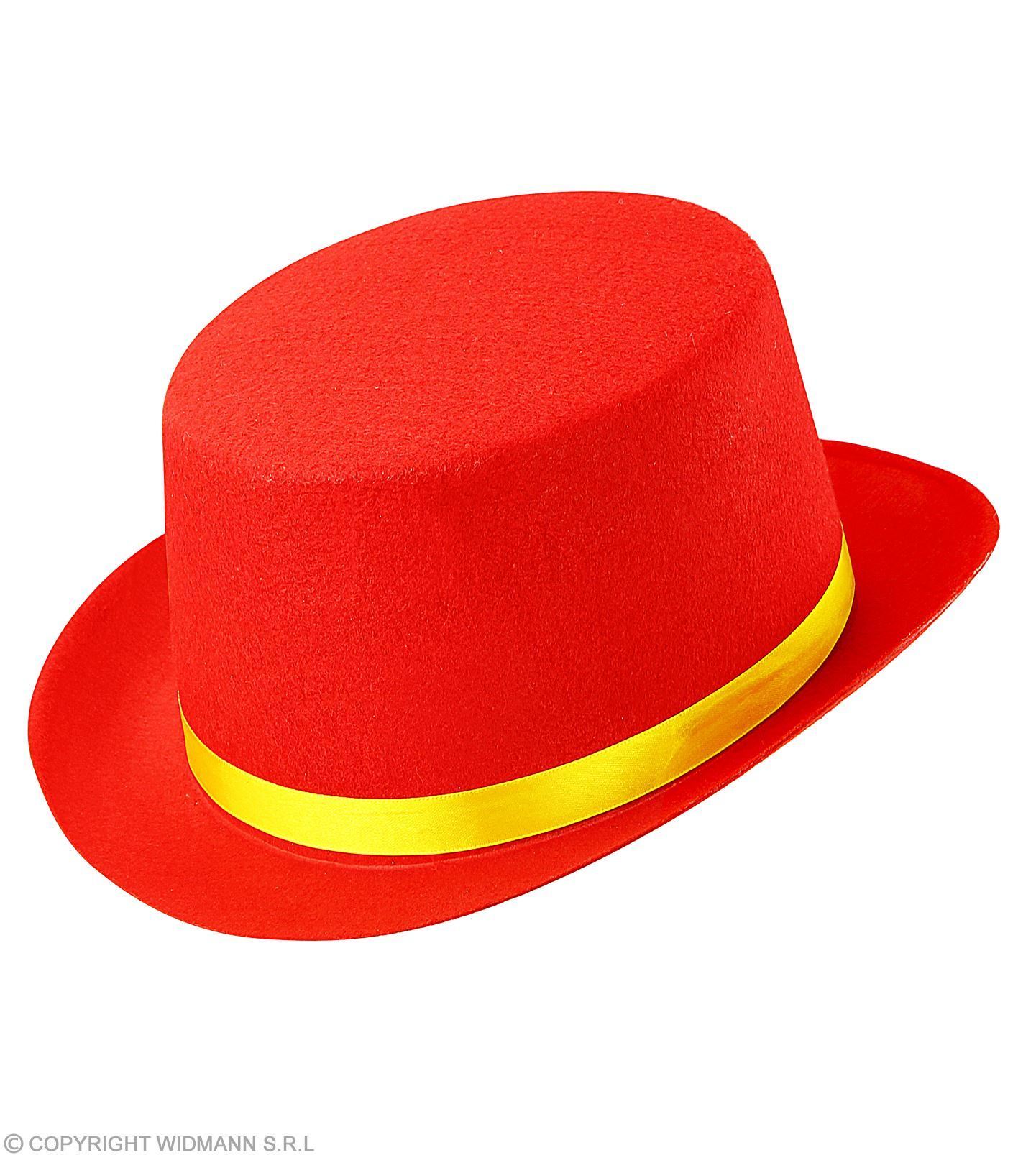 bijeenkomst bestuurder Transparant Rode hoge hoed kind Voordelig en ruime keus