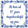 Tegeltje voor Valentijnsdag ik ben al 17 jaar stapelverliefd op jou! zeventien jaar in love verliefd
