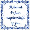Valentijn tegeltje ik ben al 14 jaar stapelverliefd op jou! Veertien jaar dol en gek op elkaar