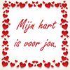 Valentijn Tegeltje mijn hart is voor jou
