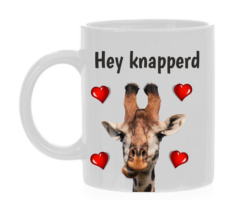 Valentijns mok he knapperd giraffe verliefd in love mok