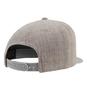foto 2 Grijze Klassieke Snapback pet
