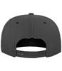 foto 2 Luxe Pet Volwassen Fitted Snapback grijs