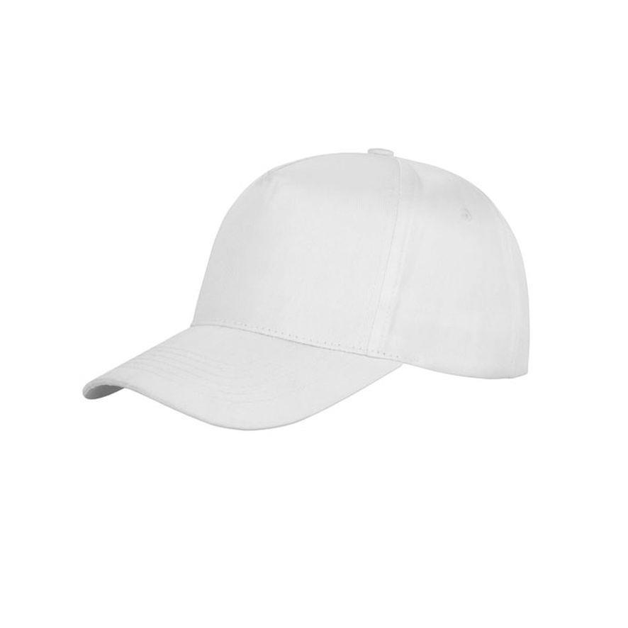 Witte Pet Result Houston Cap