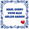 Tegeltje Mam, sorry voor alle grijze haren!
