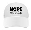 foto 6 Nope not today pet niet vandaag pet