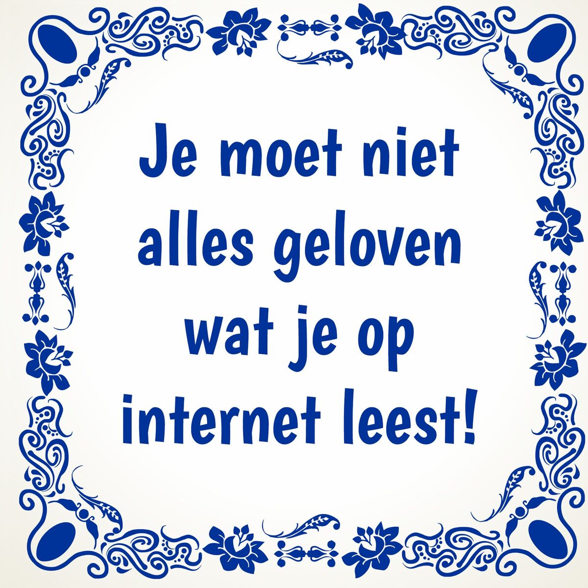 tegeltje Je moet niet alles geloven wat je op internet leest