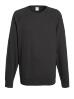 Trui sweater lichtgewicht unisex Light Graphite
