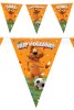 Vlaggenlijn Loekie de leeuw voetbal hup holland hup 10 meter WK