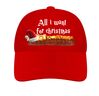 foto 4 Kerst pet All i want for christmas is een frikandel speciaal