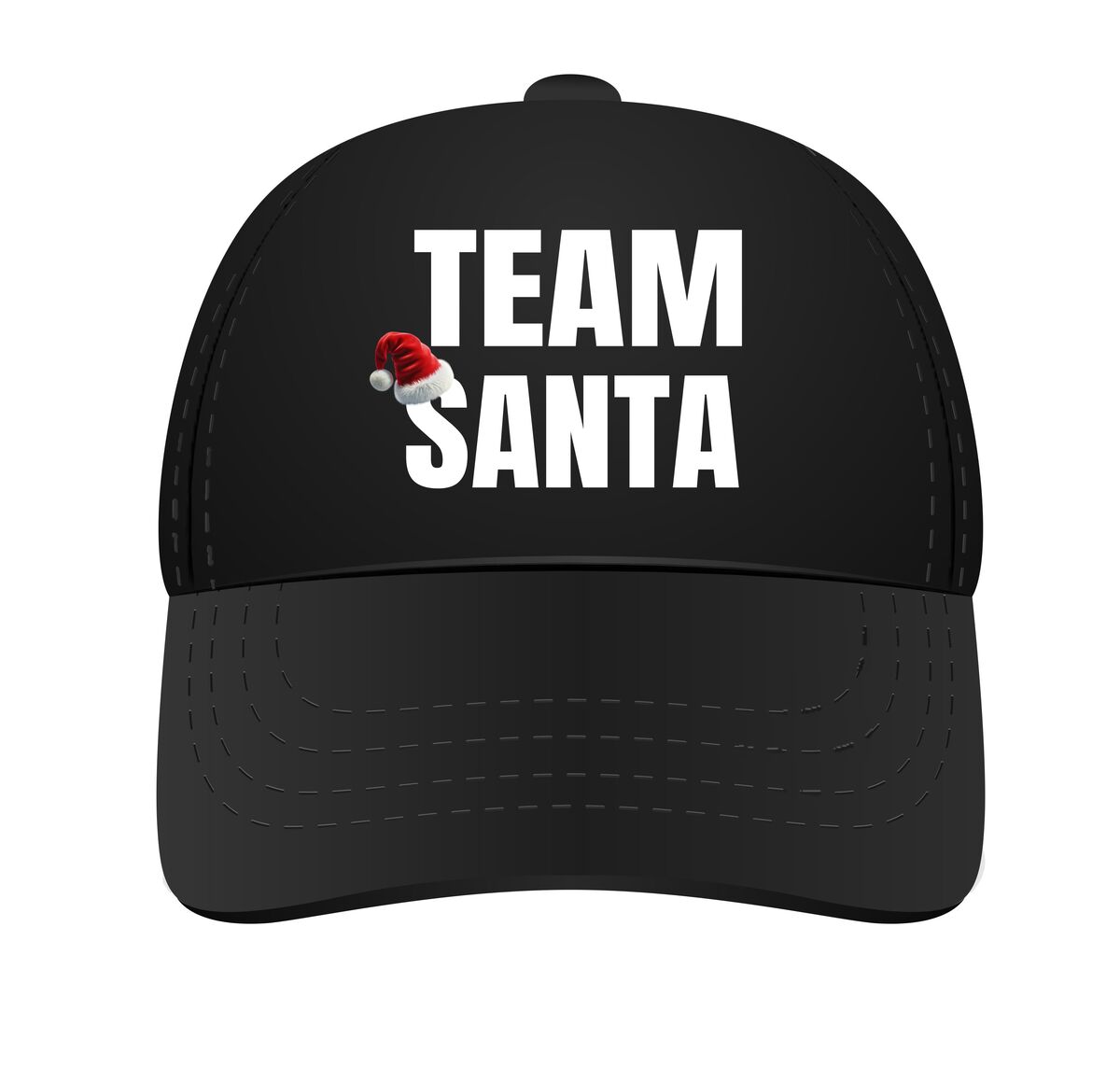 Pet team santa