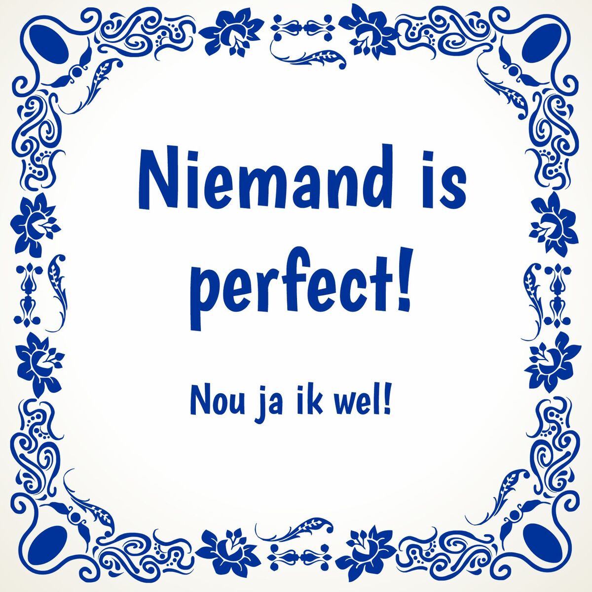 Tegeltje niemand is perfect!