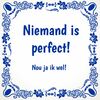 foto 1 Tegeltje niemand is perfect!