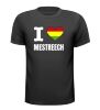 Shirtje voor het Carnaval in Maastricht  i love Mestreech