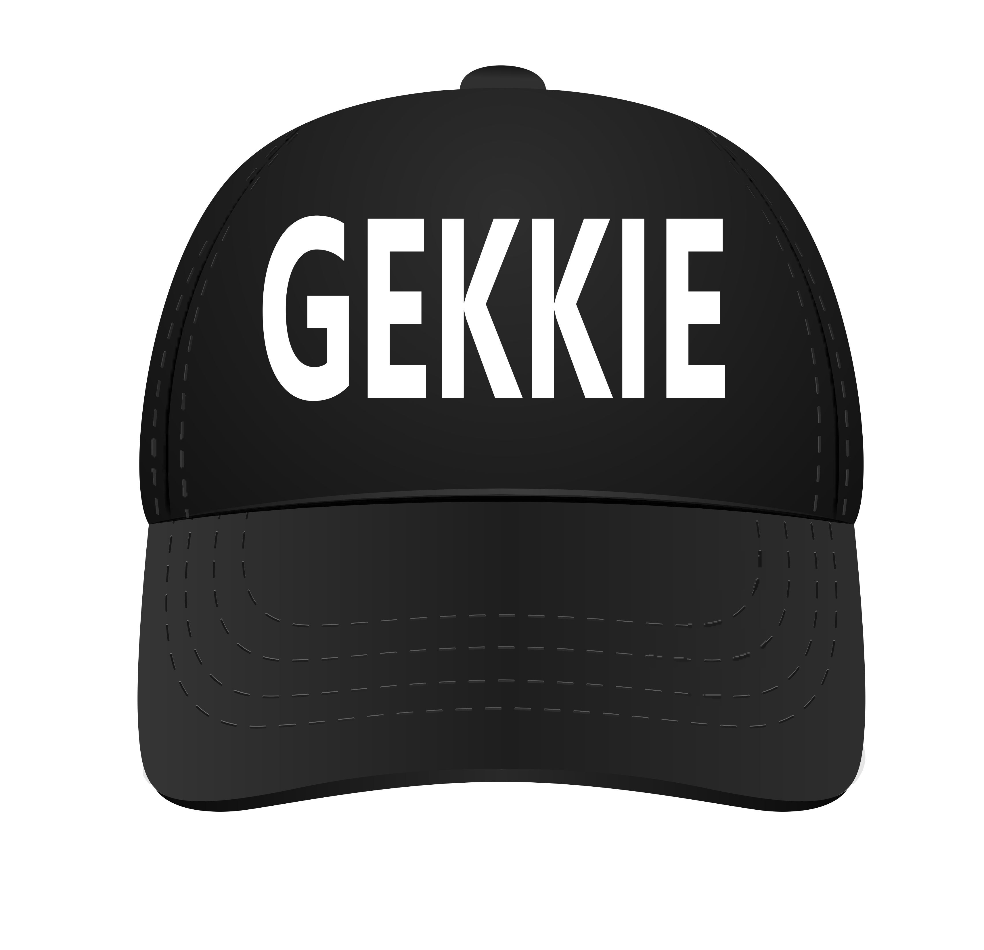 Pet gekkie