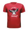 foto 9 Shirtje cow you doing? opdruk koe die vraagt hoe het ermee gaat