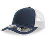 Pet modieus marine blauw met wit volwassen