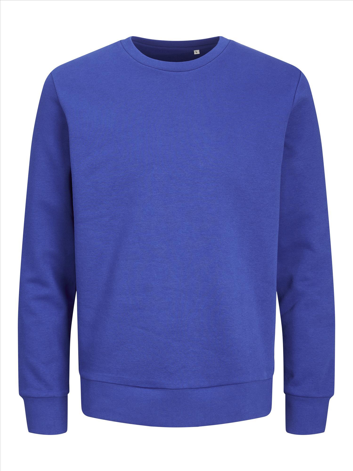 Sweatshirt  surf the web blue voor mannen Jack & Jones