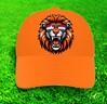 foto 2 Oranje petje voor de echt voetbal fan van oranje