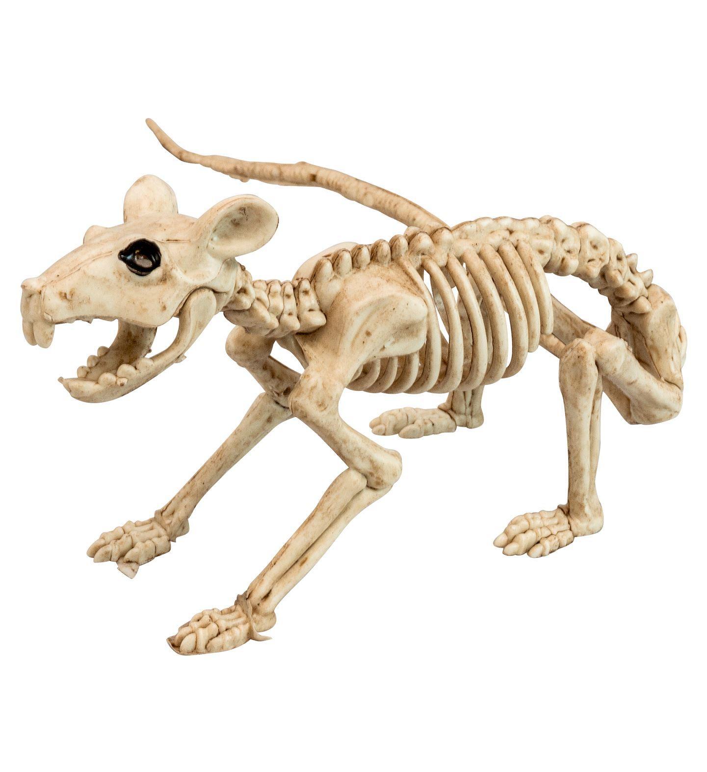 Griezelige halloween decoratie uitgemergelde rat 40 cm